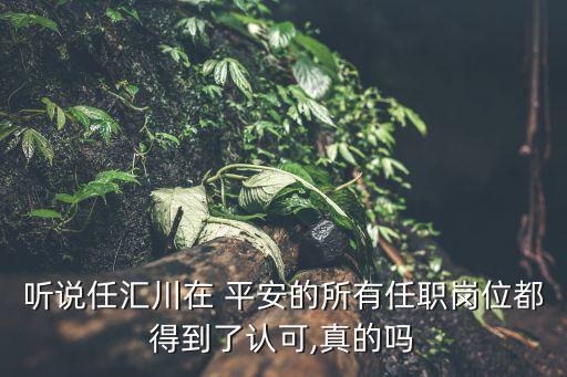 中國平安董事會風(fēng)險管理委員會,董事會風(fēng)險管理委員會的主要職責權(quán)限包括