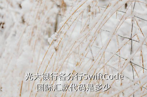  光大銀行各分行SwiftCode國際匯款代碼是多少