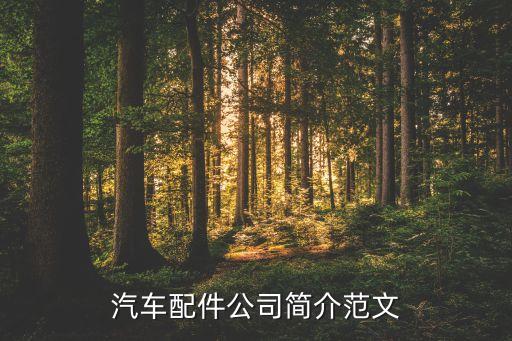 汽車配件公司簡(jiǎn)介范文