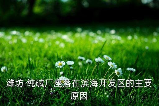 濰坊 純堿廠座落在濱海開發(fā)區(qū)的主要原因