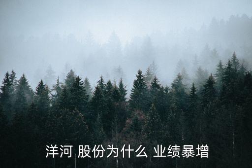  洋河 股份為什么 業(yè)績暴增