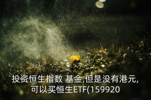 投資恒生指數(shù) 基金,但是沒有港元,可以買恒生ETF(159920