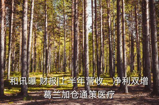 和訊曝 財報|上半年營收、凈利雙增葛蘭加倉通策醫(yī)療