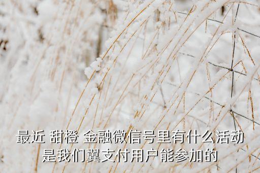 甜橙金融集團(tuán),上海甜橙金融有限公司