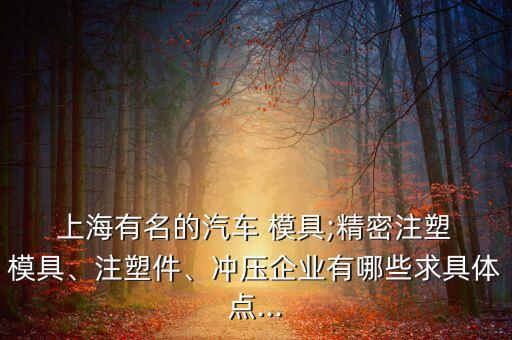  上海有名的汽車 模具;精密注塑 模具、注塑件、沖壓企業(yè)有哪些求具體點...