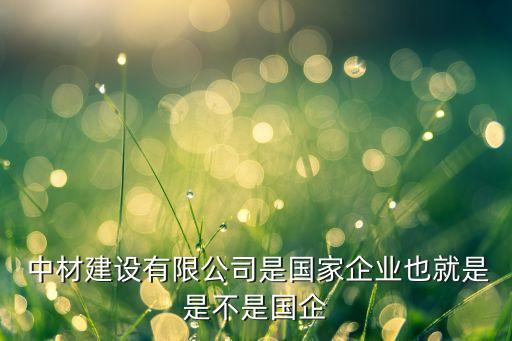 中國中材水泥社備有新項目嗎