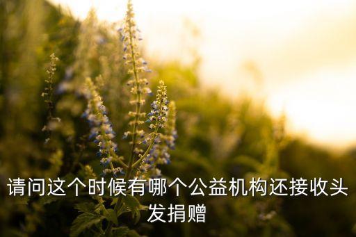 請問這個時候有哪個公益機構(gòu)還接收頭發(fā)捐贈