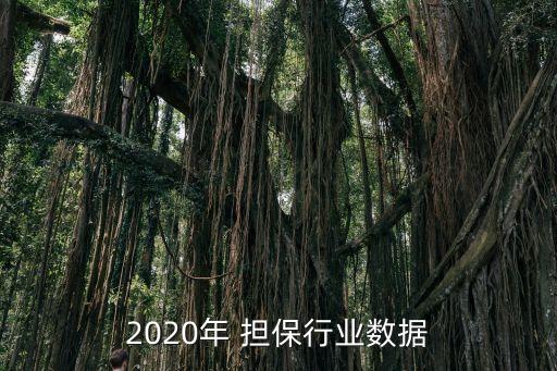 2020年 擔(dān)保行業(yè)數(shù)據(jù)