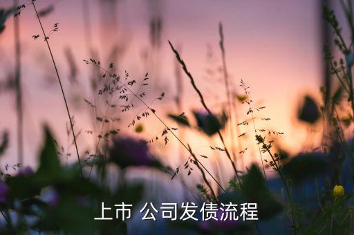 公司債券發(fā)行公告,可轉(zhuǎn)換公司債券發(fā)行公告