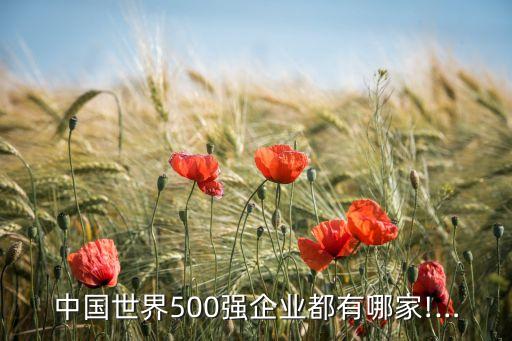 中國(guó)世界500強(qiáng)企業(yè)都有哪家!…