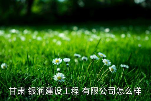 湖南銀潤投資擔(dān)保有限公司