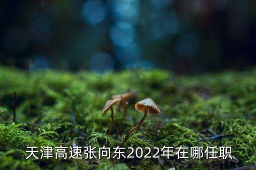  天津高速張向東2022年在哪任職