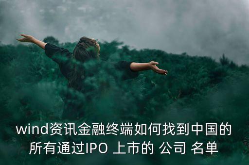 wind資訊金融終端如何找到中國的所有通過IPO 上市的 公司 名單