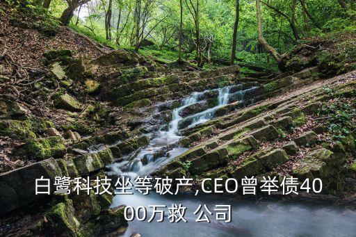 白鷺科技坐等破產(chǎn),CEO曾舉債4000萬(wàn)救 公司