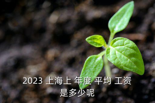 2023 上海上 年度 平均 工資是多少呢