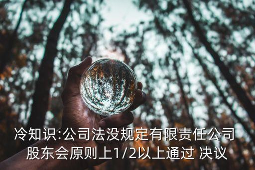 冷知識(shí):公司法沒(méi)規(guī)定有限責(zé)任公司 股東會(huì)原則上1/2以上通過(guò) 決議