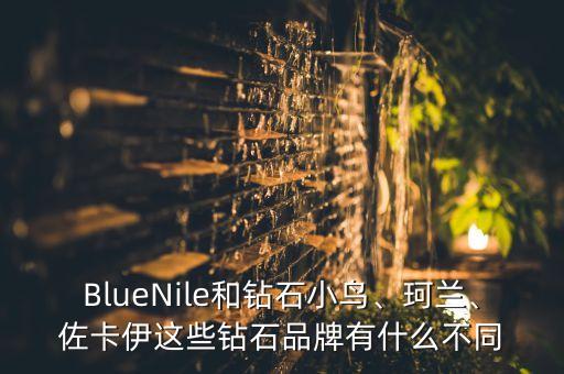 BlueNile和鉆石小鳥、珂蘭、佐卡伊這些鉆石品牌有什么不同