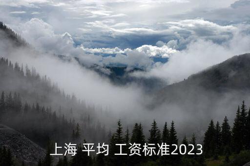  上海 平均 工資標準2023