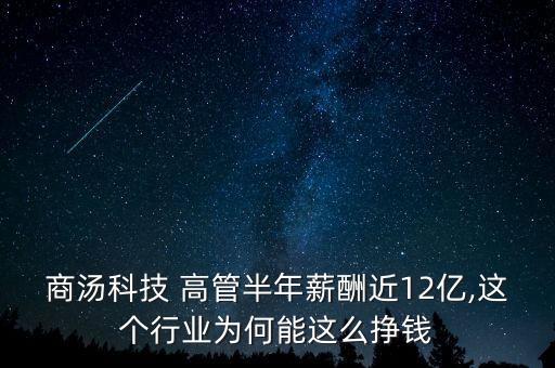 商湯科技 高管半年薪酬近12億,這個(gè)行業(yè)為何能這么掙錢