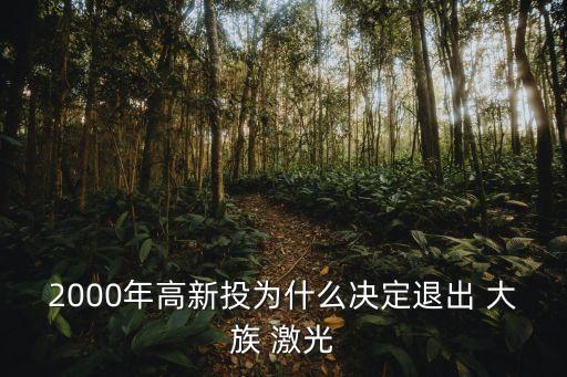 2000年高新投為什么決定退出 大族 激光