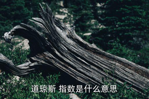 道瓊斯 指數(shù)是什么意思