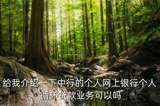 給我介紹一下中行的個人網上銀行個人 循環(huán)貸款業(yè)務可以嗎