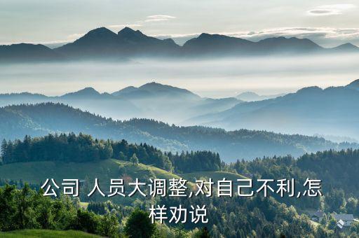  公司 人員大調(diào)整,對自己不利,怎樣勸說