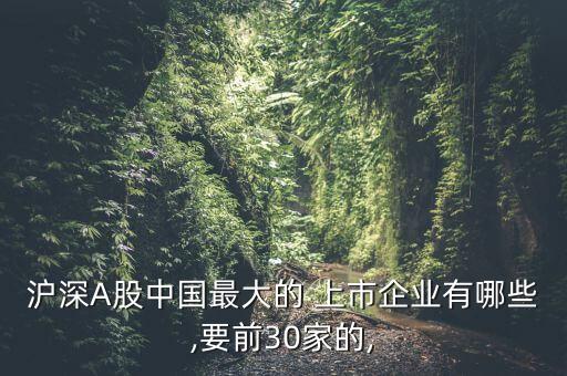 滬深A股中國最大的 上市企業(yè)有哪些,要前30家的,