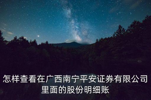 怎樣查看在廣西南寧平安證券有限公司里面的股份明細(xì)賬