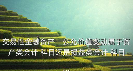 交易性金融資產—公允價值變動屬于資產類會計 科目還是損益類會計 科目...