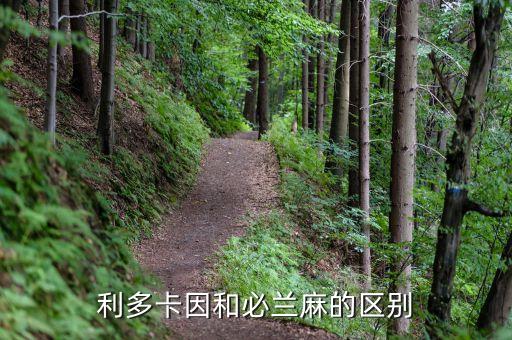 碧蘭麻中國公司,碧蘭環(huán)保公司