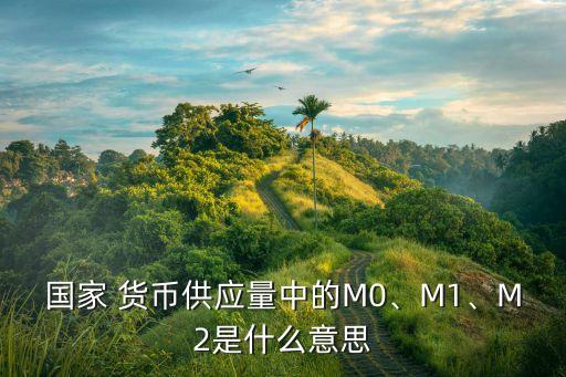 國家 貨幣供應(yīng)量中的M0、M1、M2是什么意思