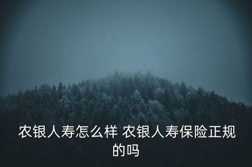 農(nóng)銀國際保險(xiǎn)有限公司,農(nóng)銀人壽股份保險(xiǎn)有限公司