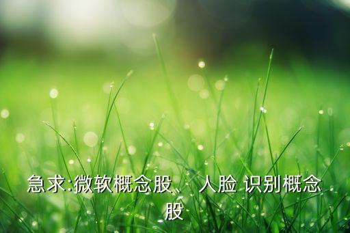 急求:微軟概念股、 人臉 識別概念股