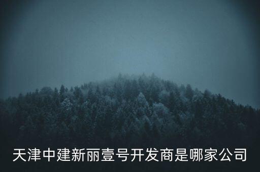 天津中建新麗壹號(hào)開發(fā)商是哪家公司