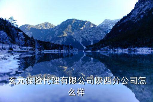  玄元保險(xiǎn)代理有限公司陜西分公司怎么樣