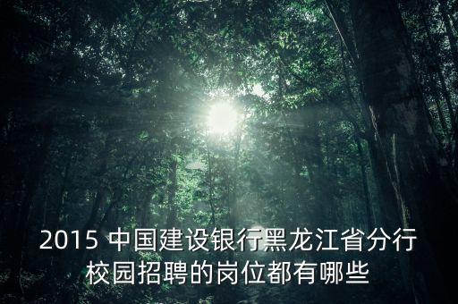 2015 中國建設銀行黑龍江省分行校園招聘的崗位都有哪些