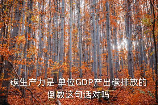 碳生產力是 單位GDP產出碳排放的倒數(shù)這句話對嗎