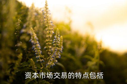  資本市場交易的特點(diǎn)包括