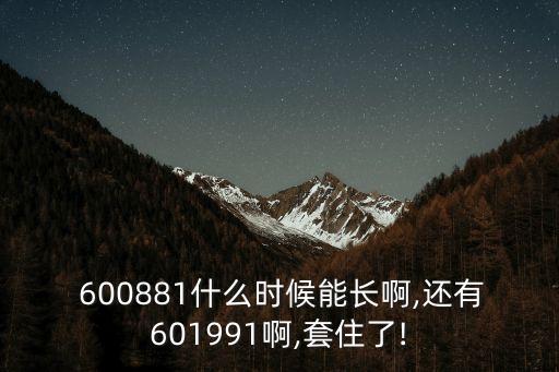  600881什么時候能長啊,還有601991啊,套住了!