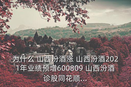 為什么 山西汾酒漲 山西汾酒2021年業(yè)績(jī)預(yù)增600809 山西汾酒診股同花順...