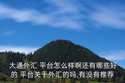  大通外匯 平臺怎么樣啊還有哪些好的 平臺關(guān)于外匯的嗎,有沒有推薦