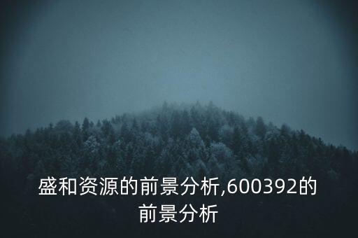 盛和資源的前景分析,600392的前景分析