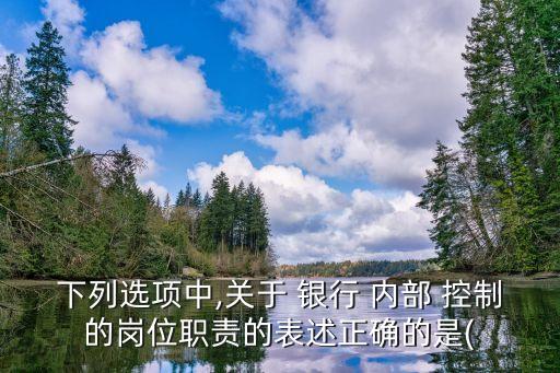 下列選項(xiàng)中,關(guān)于 銀行 內(nèi)部 控制的崗位職責(zé)的表述正確的是(