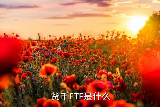 貨幣etf基金代碼,道瓊斯指數(shù)ETF基金代碼