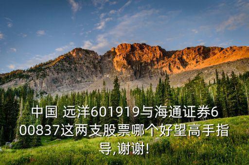 中國(guó) 遠(yuǎn)洋601919與海通證券600837這兩支股票哪個(gè)好望高手指導(dǎo),謝謝!