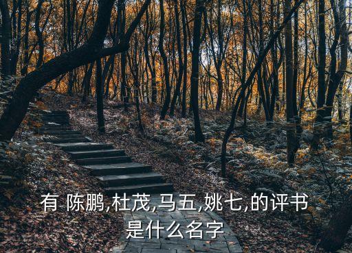 有 陳鵬,杜茂,馬五,姚七,的評(píng)書是什么名字