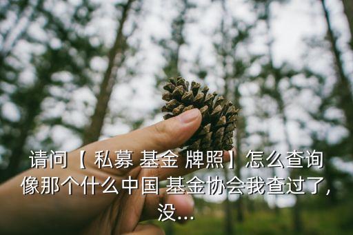 請(qǐng)問【 私募 基金 牌照】怎么查詢像那個(gè)什么中國 基金協(xié)會(huì)我查過了,沒...