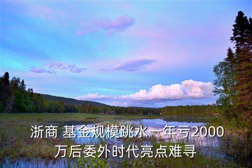  浙商 基金規(guī)模跳水一年虧2000萬后委外時代亮點難尋