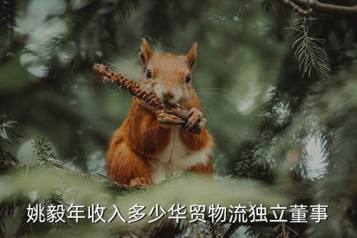 姚毅年收入多少華貿(mào)物流獨立董事